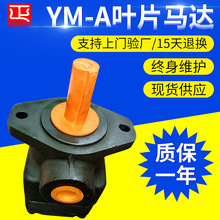 厂家批发液压马达YM-A19/22/25/28/32B-FL叶片式液压马达油马达