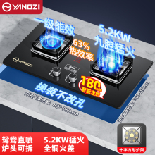 批发扬子燃煤气灶炉双灶家用天然气液化气猛火灶台式嵌入式2025年