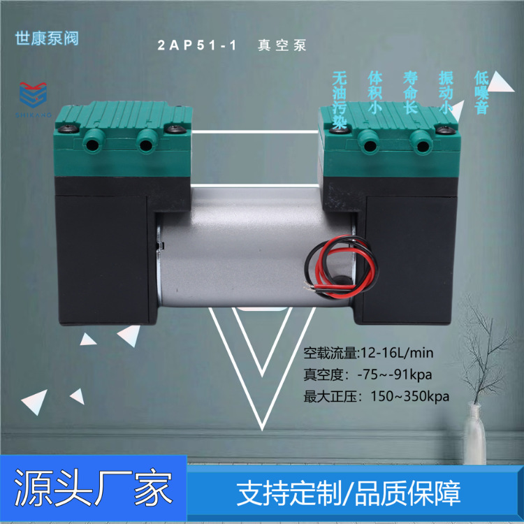 小型直流隔膜泵12V双头负压吸气泵静音电动充气泵