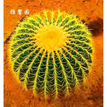 ���������̖����������ڶ���߶��_���҃�����Ʒ�N��ȫ��ݗ��