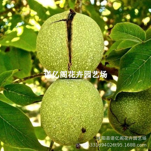 �޽ӹ������ϱ���ͥԺ������Ҙ��� �|��һ̖�޽��|��1̖���Ҙ���