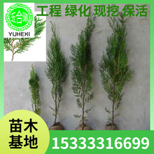 lȰؘȰؘɰСͥԺGȰ~ϱؘGľ