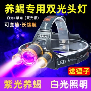 �Ϲ���Bϐ�S��ϐ���^���ɳ���ϰ��p�ⳬ�������^��ʽ���x�w֮��