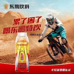 送料無料 東鵬ドリンク 500ml*24本 フルボックス ビタミンエナジードリンク 機能性ドリンク