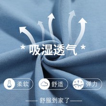 2024年新款睡衣男夏季薄款短袖短裤加大码夏天家居服两件套装