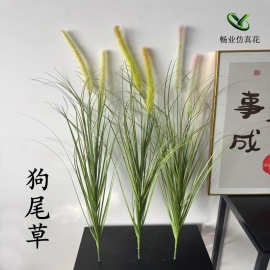仿真绿植狗尾巴草室内景观芦苇草造景插花人造仿真假草装饰狗尾草