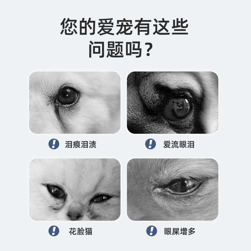 ペット用点眼液100ml 犬猫用洗眼液 目の洗浄液 目の汚れ除去液 目の洗浄液 メーカー卸売|undefined