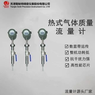 插入式热式气体质量流量计 天津斯秘特仪表可提供定制服务