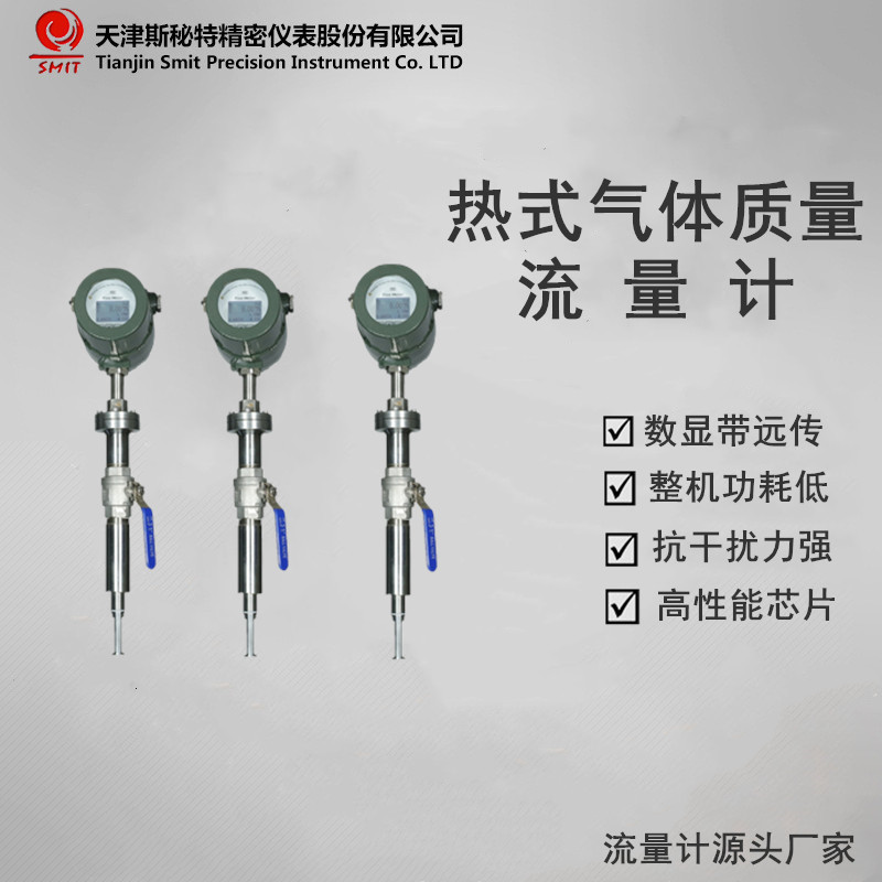 插入式管道式小流量气体流量计 热式气体质量流量计 氧气计量
