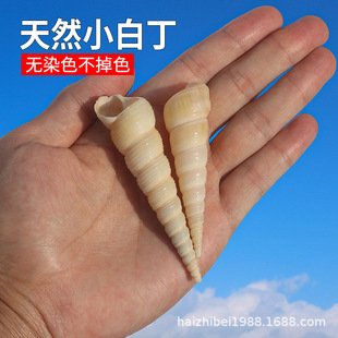 ��Ȼ����ؐ������F��С�׶���diy�ֹ��L�������Ĕz�������l