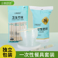 使い捨て食器セット 家庭用 業務用 結婚式 宴会 パーティー 食器セット テイクアウト PP包装 プラスチック製丼