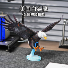 全金属DIY拼装模型3D立体拼图高难度玩具老鹰动物摆件 美国白头鹰