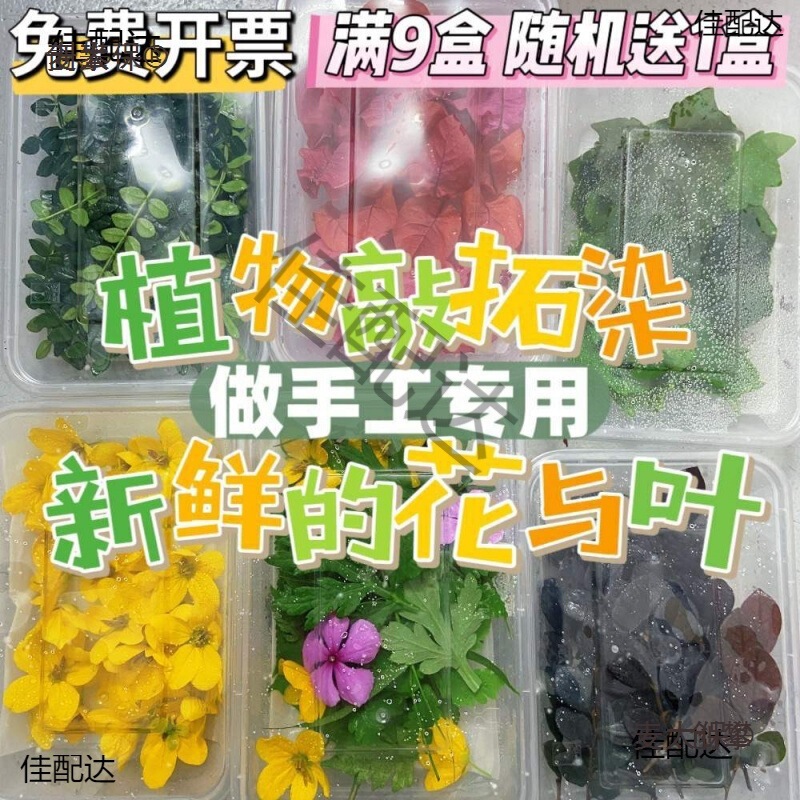 Plant Prints on Fresh Flowers, Mixed and Matched Combinations of Fresh Leaves, Flowers, and Green Plants, Using Fresh Plant Materials for Printing Plant Prints on Fresh Flowers, Mixed and Matched Combinations of Fresh Leaves, Flowers, and Green Plants, Using Fresh Plant Materials for Printing