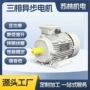 定制异步三相铝壳电动机