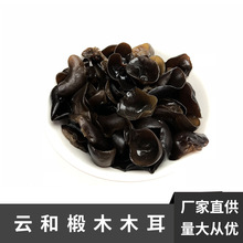 现货云和黑木耳家用500g散装干木耳现货产品南北木耳干货厂家直供