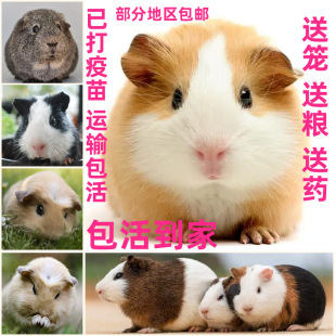 ���m�i����������wС��������������Լҷ�ֳС����W��������B