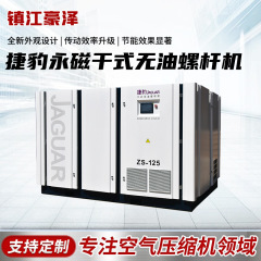 チェコ豹ZS永久磁石乾式オイルレススクリュー機静音エアポンプ水潤滑低圧空気圧縮機メーカー卸売り