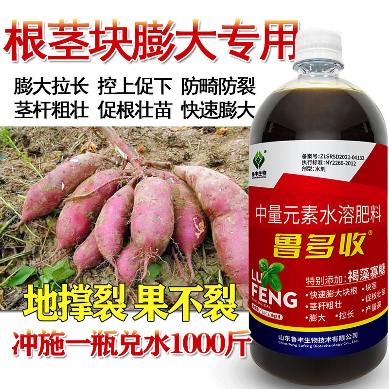 鲁丰鲁多收茎块膨大专用膨大拉长控上促下地撑裂果不裂地下膨大肥