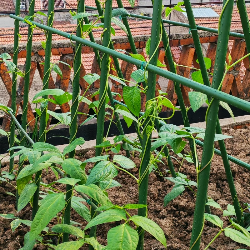 Стенд из пластиковой стальной трубы Огурец восхождение на ротанговую стойку