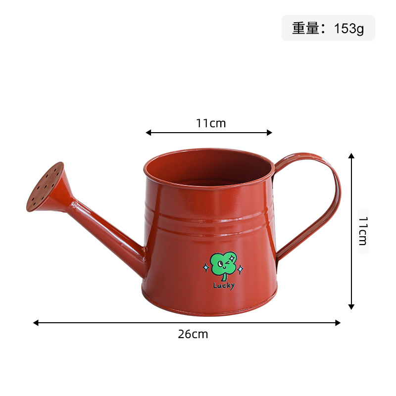 Large iron watering bottle-orange (green flower sticker)