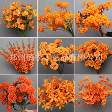 ��ɫϵ���滨��c��ˇ��ɫ��ɫ��Y���b���·�����Ź��T����