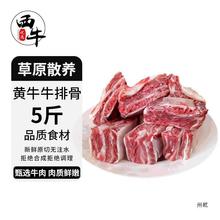 西牛优选黄牛牛排骨5斤黄牛饲散养牛肋排牛排牛肉新鲜黄膘散养3