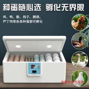 Chicken Incubator Small Household Fully Automatic Intelligent Egg Incubator Mini Water Bed Incubator Rutin Chicken Incubator