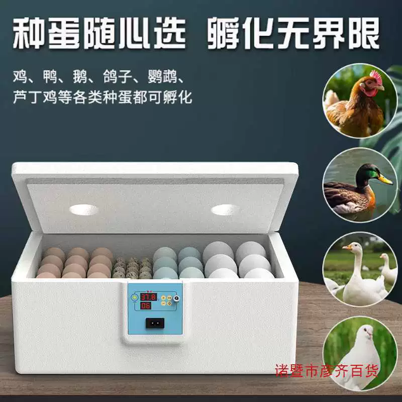 Инкубатор для кур, небольшой бытовой полностью автоматический интеллектуальный инкубатор для яиц, мини-инкубатор с водяной подушкой, инкубатор для кур Rutin