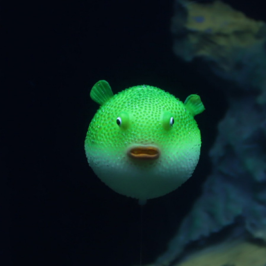 东莞厂家批发鱼缸水族装饰仿真河豚仿真贝壳塑胶用品荧光造景装饰