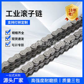 现货批发传动滚子链条10B12B16B20B32B40B56B48B单排双排工业链条