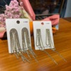 Earrings, fashionable silver needle, diamond encrusted, silver 925 sample, European style, internet celebrity