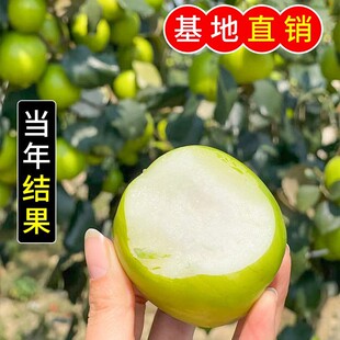 �޽ӗ�������ش󶬗��ش���J���������籱���Ϸ��NֲͥԺ����