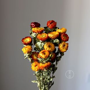 ����߲ʾոɻ����������ղ��}��С�r�ոɻ����ldiy���ďS�����l