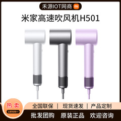 Mijia 高速ヘアドライヤー H501 マイナスイオン恒温ヘアケア高速ヘアドライヤー 1600 ワットハイパワー 3 スピードに適しています