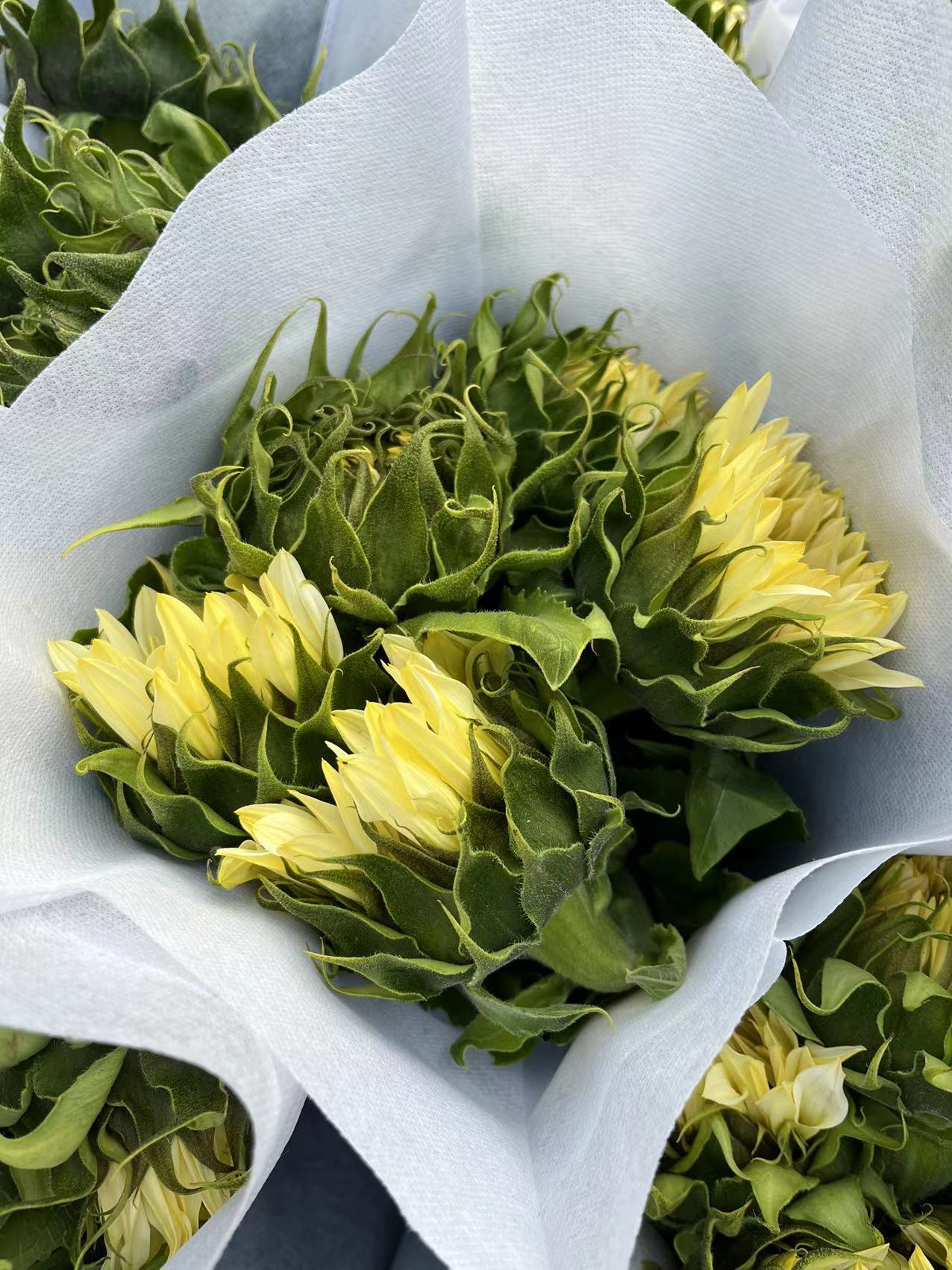 微信图片_20230220113038