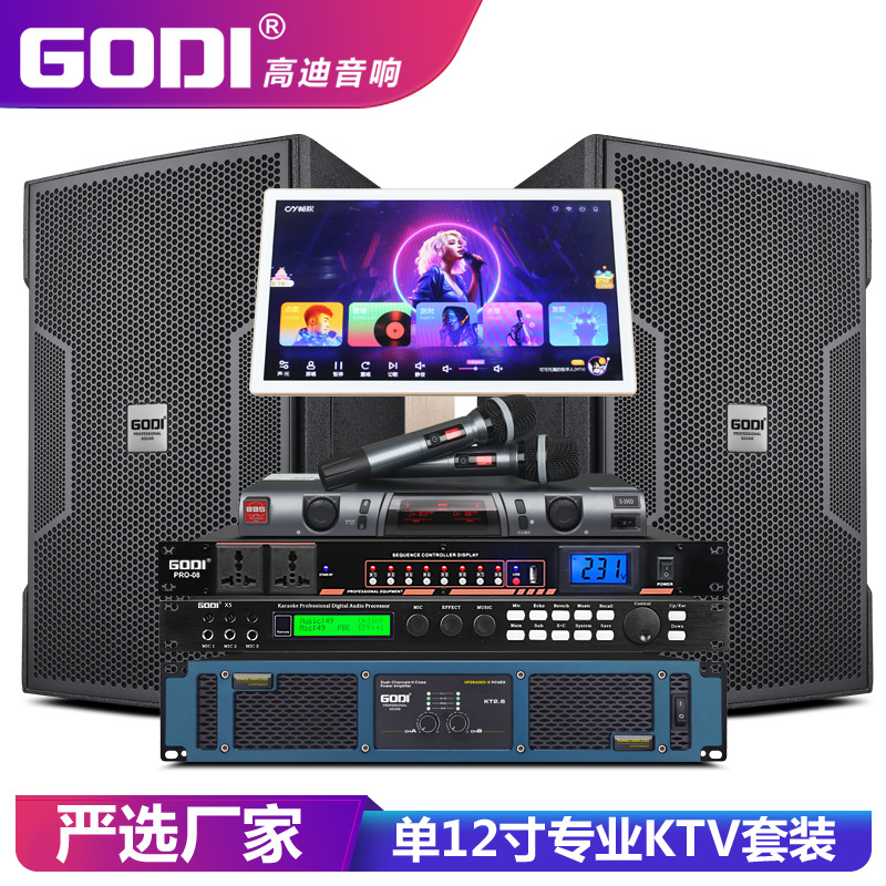 Godi Single 12inch Professional Stage Ktv Audio Home Karaoke Bar Speaker Set Karaoke Machine Full Set