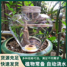 懒人浇花工具自动浇水家用多肉壶淋花洒水器滴灌配件滴灌管喷淋
