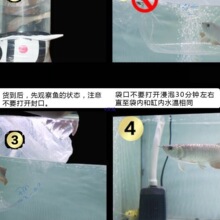 ��ɫ����������~���~���͵�Ϣ���~�S��