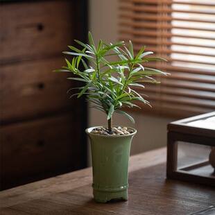 �_�h�������k���҃�����Gֲ�ͺ��ļ�������Bֲ���辰