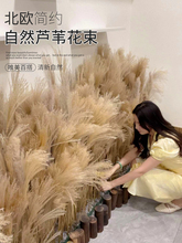 �JȔ�ɻ��������W�b͏d��ؔ[����Y���ÔzӰ�Ĕz���߷�ɫ�JȔ