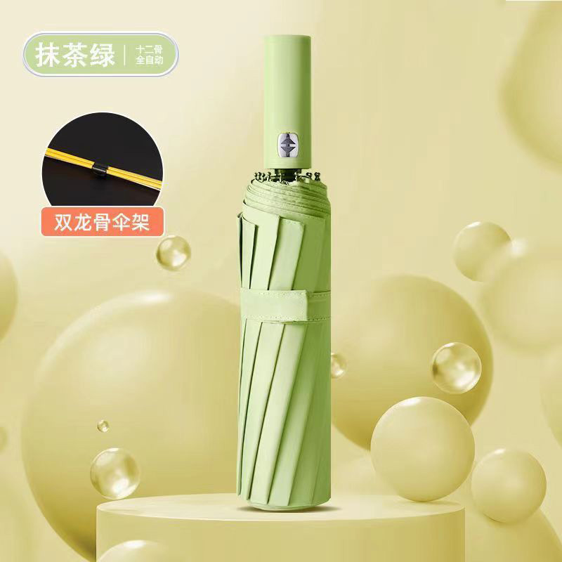 말차 그린 [플래그십 방풍 쌍용 가닥] 24 본 블랙 접착제