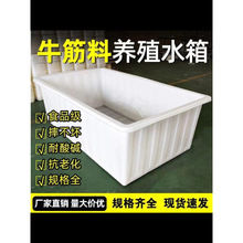 �跽�䃦ˮͰ�L����ţ������ˮ���ˮ�a�Ӻ��B�����~�z�u�B�~�Bֳ