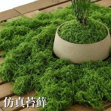 ̦\ƺ΢^쾰쾰bGֲ҃S