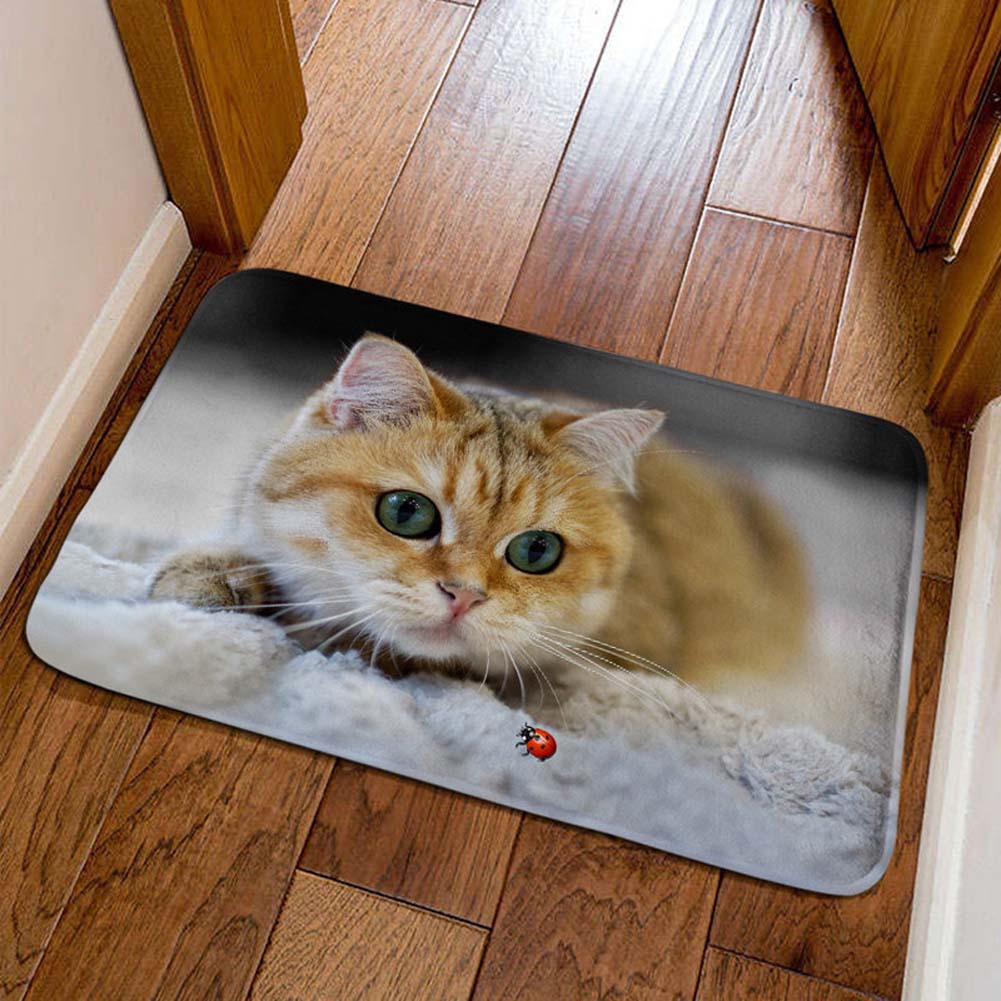 Cross-border cute pet cat decorative floor mat, bathroom absorbent skin-friendly foot mat, easy to maintain, entryway entrance mat, available for dropshipping