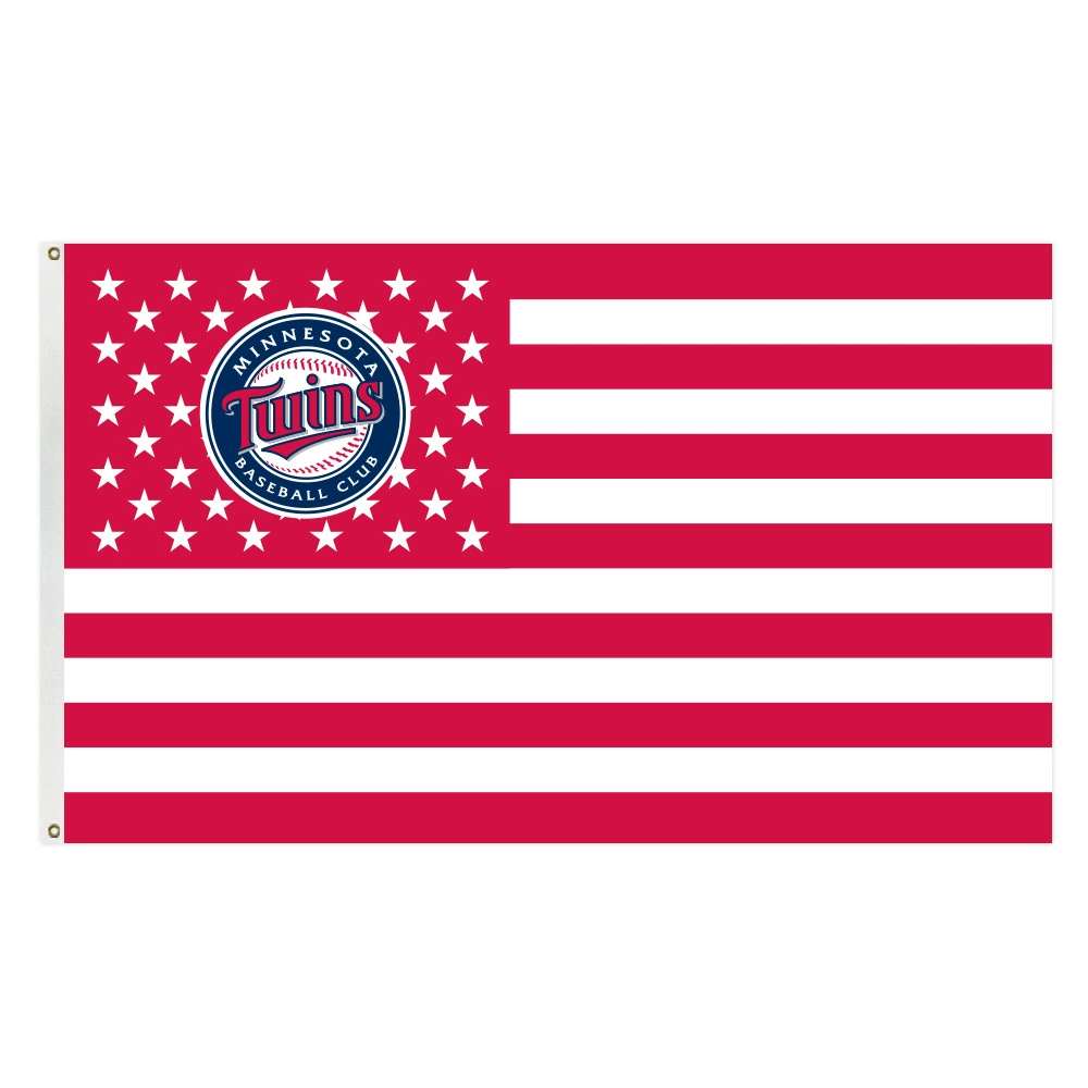 MLB minnesota twins flag