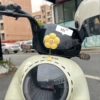 [【太阳花黄】1个装]