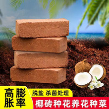 Ҭ�u�I�B���B���N��ͨ����Ҭ��Ó�}��������͸���KҬ����Ҭ���u