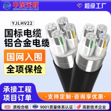 ����YJLHV22��|���˽��B�����z�b�����о�X�Ͻ������J�C