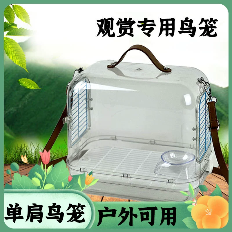 Попугай выходит из сумки попугай выходит из птичьей клетки