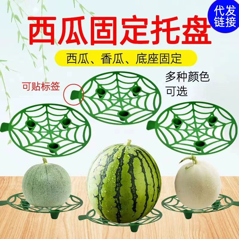 Подушка для арбуза Поднос для посадки дыни и фруктов Сад Сельскохозяйственные фрукты Антикоррозийный гнилой пластиковый стабильный лоток Полка для поддержки фруктов